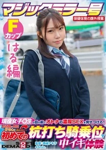 SDMM-13204