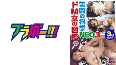 798BRV-040