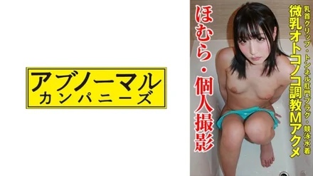481SACZ-338