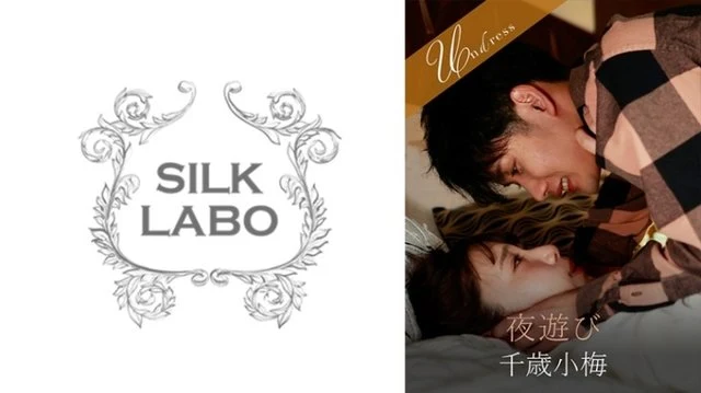 220SILKU-094