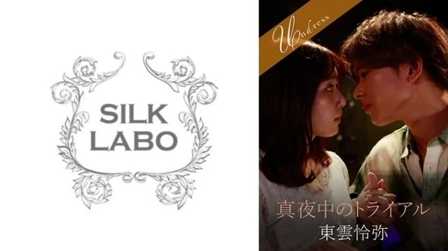 220SILKU-095